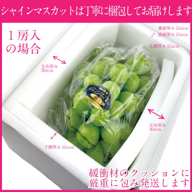 ぶどう 2026年度分 先行予約 【プレミアムシャインマスカット 晴王 1房 約600g】船穂産　赤秀品以上  岡山県産 葡萄 ブドウ ギフト ハレノフルーツ 皮ごと食べる みずみずしい