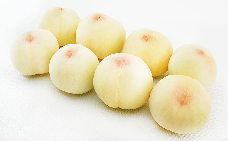 桃 2026年 先行予約 白桃 8玉（1玉200g以上）化粧箱入り もも モモ 岡山県産 国産 フルーツ 果物 ギフト