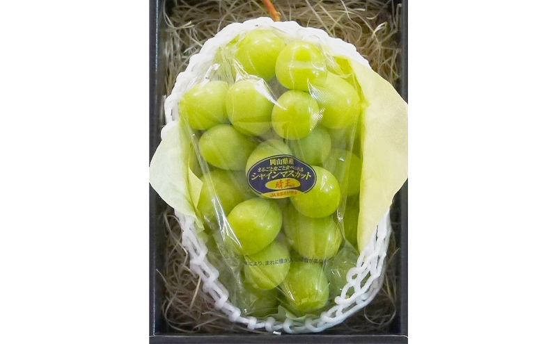 ぶどう 2026年 先行予約 特選 シャイン マスカット 晴王 1房 約700g ブドウ 葡萄 岡山県産 国産 フルーツ 果物 ギフト いろは堂