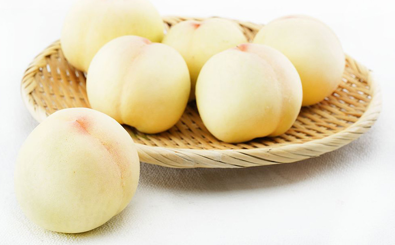 桃 2026年 先行予約 岡山 白桃 6玉（1玉330g以上）等級：ロイヤル指定／糖度：12度以上 木箱入り もも モモ 岡山県産 国産 フルーツ 果物 ギフト