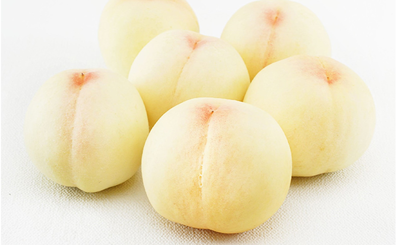 フルーツ 定期便 2026年 先行予約  晴れの国 岡山 の 旬の フルーツ 定期便 6回コース 白桃 ぶどう 梨 岡山県産 国産 フルーツ 果物 ギフト