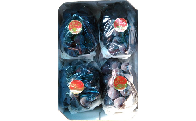 ぶどう 2026年 先行予約 ニューピオーネ 約1.8kg 3～5房 減農薬栽培 ブドウ 葡萄 岡山県産 国産 フルーツ 果物 ギフト ばんの農園 種なし 種無しぶどう 果物類 爽やか 酸味 コク