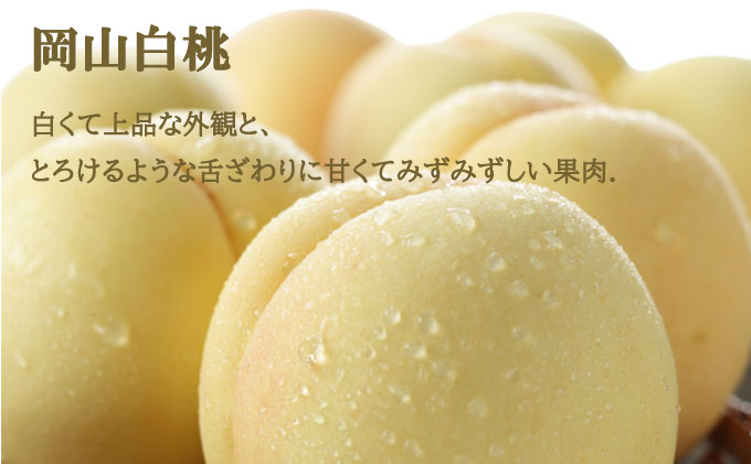 桃 ぶどう 2026年 先行予約 岡山 白桃 エース 2玉×約200g（Lサイズ、早生種・中生種）シャイン マスカット 晴王 1房約400g  詰め合わせ 岡山県産 フルーツ