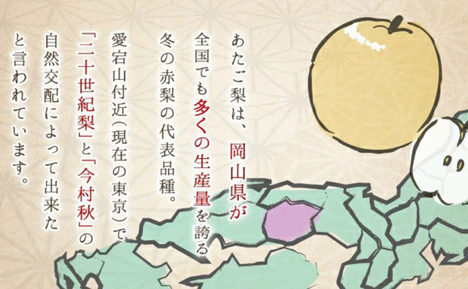 梨 あたご梨 1玉 約1kg なし ナシ 岡山県産 国産 フルーツ 果物 ギフト