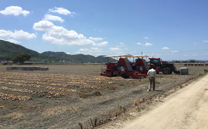 先行予約 玉ねぎ 約10kg（岡山県産） 晴れの国ファーム