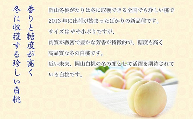 桃 岡山冬桃がたり ロイヤル 5～10玉 約1.3kg もも モモ 岡山県産 国産 フルーツ 果物 ギフト JA吉備路: 玉野市ANAのふるさと納税