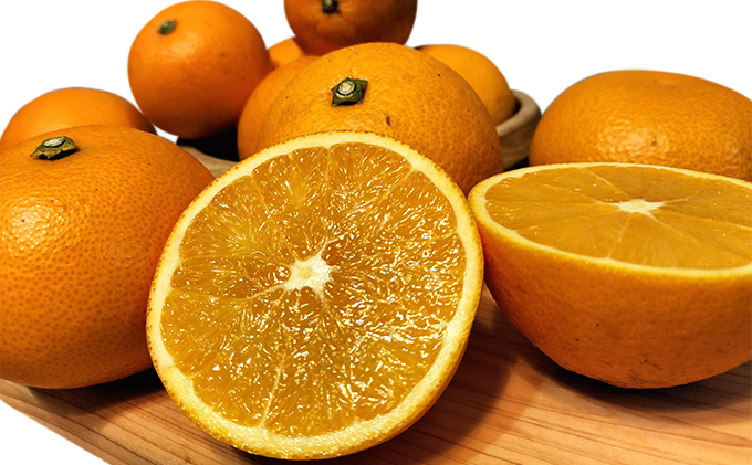 【訳あり】もんしーネーブル（岡山県大藪産）