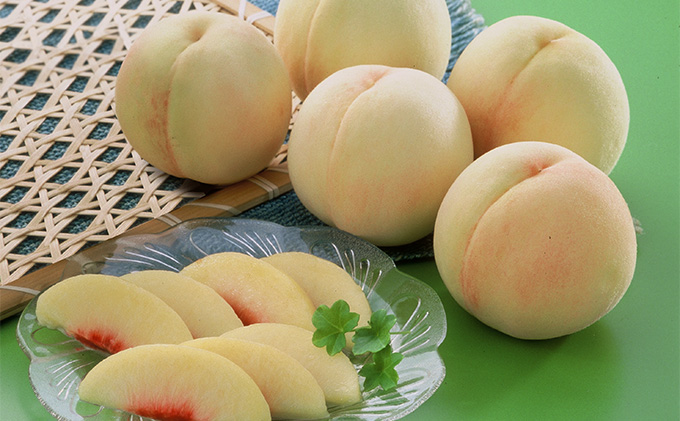 桃 2026年 先行予約 岡山 白桃（品種：白鳳／加納岩白桃）5～7玉 合計1.5kg以上 もも モモ 岡山県産 国産 フルーツ 果物 ギフト 環山堂