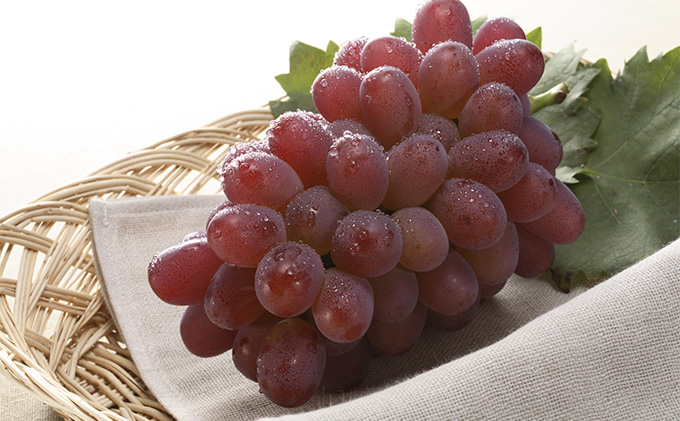 ぶどう 2026年 先行予約 冬 紫苑 1房 700g以上 ブドウ 葡萄 岡山県産 国産 フルーツ 果物 ギフト 環山堂