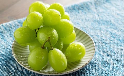 桃 ぶどう 2026年 先行予約 特選 岡山の旬の果物詰合せ-1 もも ブドウ 葡萄 晴王 岡山県産 国産 フルーツ 果物 ギフト おかやま夢白桃 大玉 3玉 シャインマスカット ピオーネ お取り寄せ 季節の果物