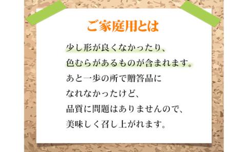 ぶどう 2025年 先行予約 ご家庭用 ニューピオーネ 約600g×1房 ブドウ 葡萄  岡山県産 国産 フルーツ 果物