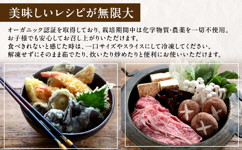 【 産地直送 】 有機JAS 生椎茸 800g ＆ 生きくらげ 200g 定期便 3ヶ月 オーガニック しいたけ 椎茸 きくらげ きのこ 野菜 岡山県 玉野市 栽培期間中化学肥料不使用 栽培期間中農薬