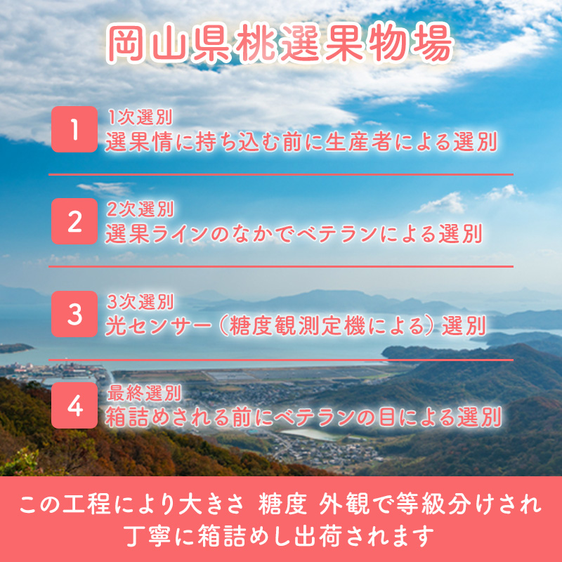 桃 2026年 先行予約 岡山 白桃 エース 4～6玉 約1kg JA おかやま のもも（早生種・中生種） もも モモ 岡山県産 国産 フルーツ 果物 ギフト