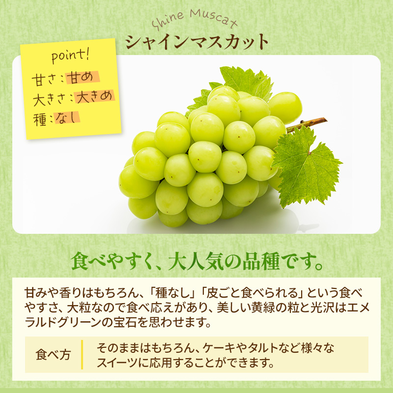 ぶどう 2026年 先行予約 シャイン マスカット 晴王 3房～6房 約2kg ブドウ 葡萄  岡山県産 国産 フルーツ 果物 ギフト シャインマスカット 美しい 大粒 種なし 弾力 高糖度 甘い