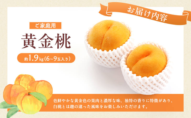 桃 2026年 先行予約 岡山 黄金桃 ご家庭用 約2kg 6～9玉入り もも モモ 岡山県産 国産 フルーツ 果物 直送！せとうちバスケット スイーツ こだわり 特産品 白い 香り 果汁 シーズン 濃厚