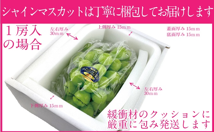 ぶどう 2026年 先行予約 シャイン マスカット 晴王 1房 約700g ブドウ 葡萄  岡山県産 国産 フルーツ 果物 ギフト
