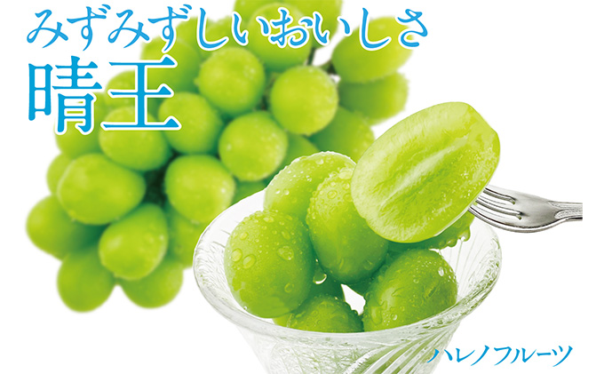 ぶどう 2026年 先行予約 シャイン マスカット 晴王 2房（合計約1.1kg） 晴れの国 おかやま 岡山県産 フルーツ王国 果物王国