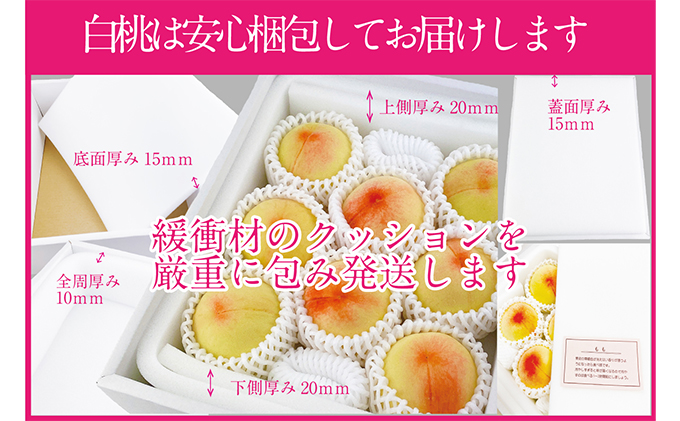 桃 2026年 先行予約 岡山の白桃 250g以上×6玉 白桃 旬 みずみずしい 晴れの国 おかやま 岡山県産 フルーツ王国 果物王国 夏の果物 果汁 とろける 上品な香り