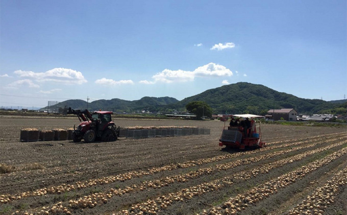 先行予約 玉ねぎ 約10kg（岡山県産） 晴れの国ファーム