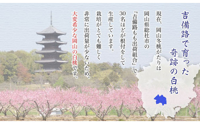 桃 岡山冬桃がたり ロイヤル 5～10玉 約1.3kg もも モモ 岡山県産 国産 フルーツ 果物 ギフト JA吉備路