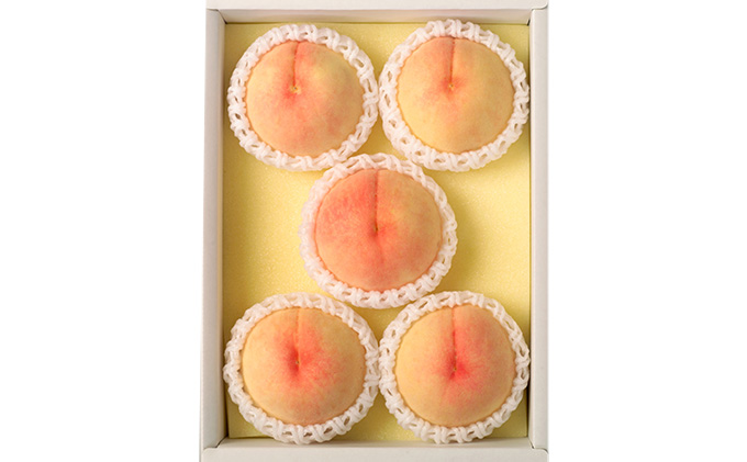 桃 2026年 先行予約 岡山 白桃（品種：おかやま夢白桃／白麗）5～7玉 合計1.5kg以上 もも モモ 岡山県産 国産 フルーツ 果物 ギフト 環山堂