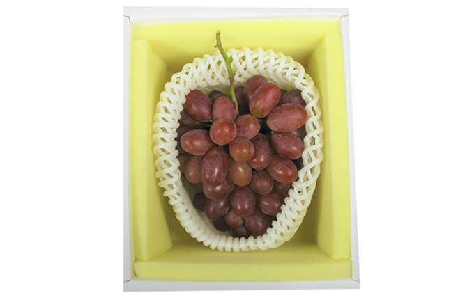 ぶどう 2026年 先行予約 冬 紫苑 1房 700g以上 ブドウ 葡萄 岡山県産 国産 フルーツ 果物 ギフト 環山堂