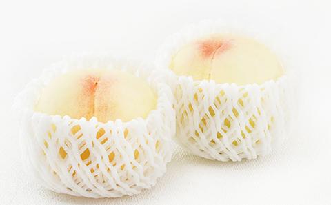 桃 ぶどう 2026年 先行予約 果物詰合せ 白桃 2玉（1玉200g以上） シャイン マスカット 晴王 2房（合計約940g）化粧箱入り 岡山県産 国産 フルーツ ギフト 果物類 セット