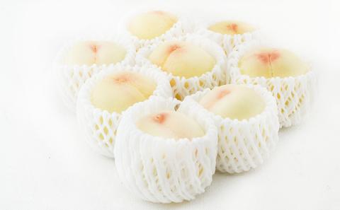 フルーツ 2026年 先行予約 晴れの国 岡山 の フルーツ 定期便 2回コース 桃 ぶどう 岡山県産 国産 フルーツ 果物 ギフト デザート 白桃 シャインマスカット 高級ぶどう