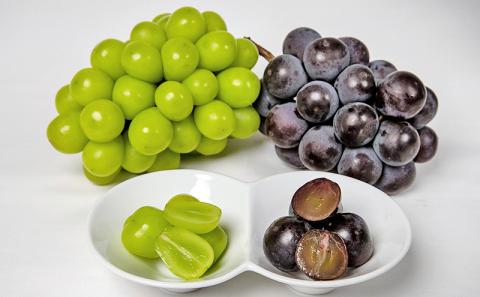 フルーツ 2025年 先行予約 晴れの国 岡山 の フルーツ 定期便 6回コース 桃 ぶどう 梨 岡山県産 国産 フルーツ 果物 ギフト