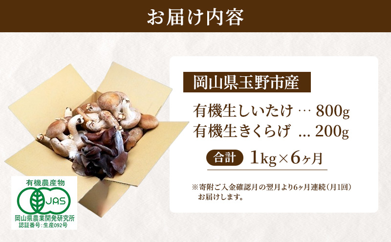 【 産地直送 】 有機JAS 生椎茸 800g ＆ 生きくらげ 200g 定期便 6ヶ月 オーガニック しいたけ 椎茸 きくらげ きのこ 野菜 岡山県 玉野市 栽培期間中化学肥料不使用 栽培期間中農薬