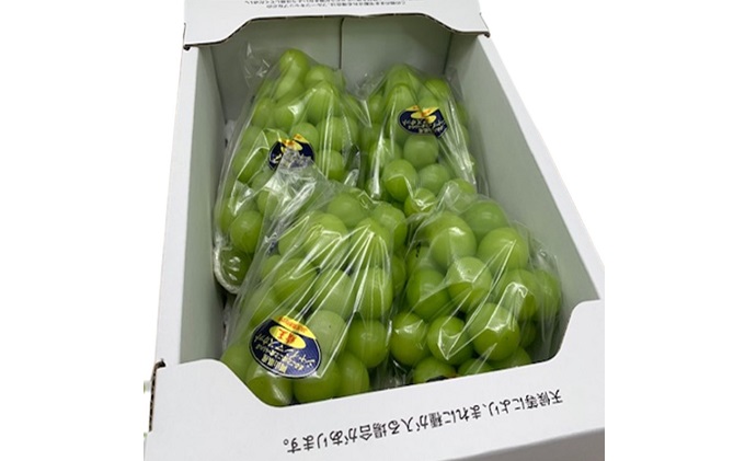 ぶどう 2026年 先行予約 シャイン マスカット 晴王 3～5房 2kg前後 （8月上旬～9月下旬発送分） ブドウ 葡萄  岡山県産 国産 フルーツ 果物 ギフト 岡山のブドウ デザート 食べ物 日本産