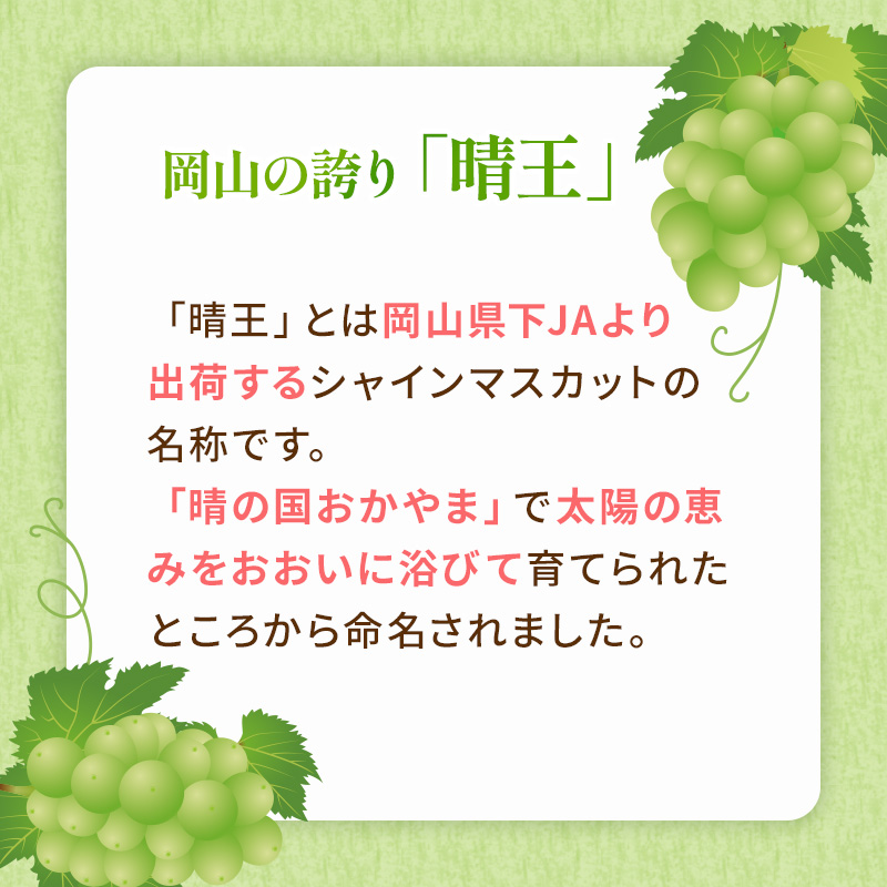 ぶどう 2026年 先行予約 ご家庭用 シャイン マスカット 晴王 約600g×1房 ブドウ 葡萄  岡山県産 国産 フルーツ 果物 太陽 美しい 外観 大粒 高糖度 種なし 皮ごと 弾力 食感 美味しい