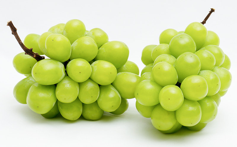 ぶどう 2026年 先行予約 シャイン マスカット 晴王 2房 （1房 600g以上） 化粧箱入り マスカット ブドウ 葡萄 岡山県産 国産 フルーツ 果物 ギフト 果物類