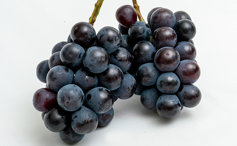 桃 ぶどう 2026年 先行予約 果物 詰合せ 白桃 2玉（1玉220g以上）ニューピオーネ 2房（1房480g以上）化粧箱入り もも 葡萄 岡山県産 国産 フルーツ 果物 ギフト