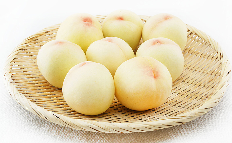 桃 2026年 先行予約 清水 白桃 8玉（1玉200g以上）化粧箱入り もも モモ 岡山県産 国産 フルーツ 果物 ギフト