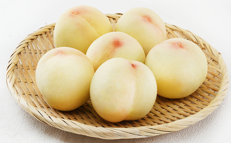 桃 2026年 先行予約 白桃 6玉（1玉250g以上）等級： ロイヤル 化粧箱入り もも モモ 岡山県産 国産 フルーツ 果物 ギフト 最高等級品 糖度12.0度以上 芳潤な香り贈答用 果汁滴る