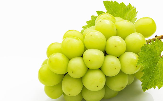 ぶどう 2026年 先行予約 シャイン マスカット 晴王 600g以上×1房 種無し ブドウ 葡萄  岡山県産 国産 フルーツ 果物 ギフト