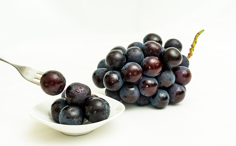 ぶどう 梨 定期便 2026年 先行予約 フルーツ王国 岡山を堪能 定期便 3回コース 葡萄 ぶどう 梨 なし 岡山県産 国産 果物 セット ギフト