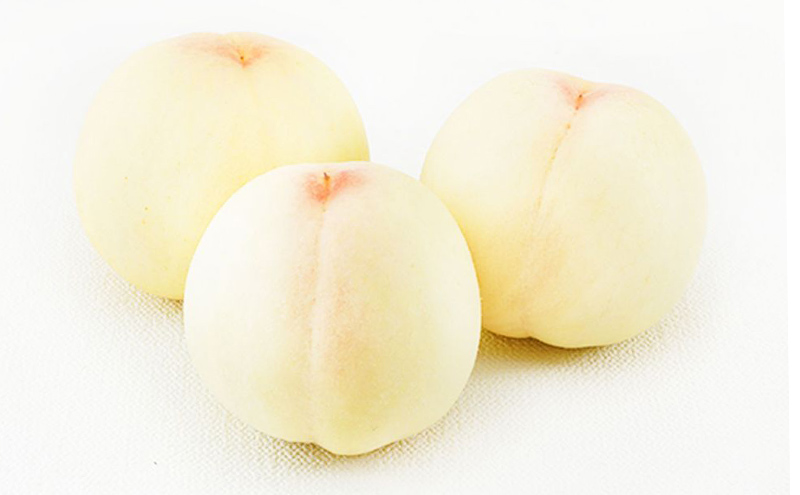 桃 2026年 先行予約 岡山 白桃 5玉（1玉310g以上）等級：ロイヤル指定／糖度：12度以上 木箱入り もも モモ 岡山県産 国産 フルーツ 果物 ギフト