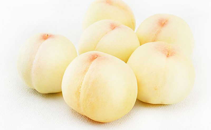 桃 2026年 先行予約 岡山 白桃 6玉（1玉330g以上）等級：ロイヤル指定／糖度：12度以上 木箱入り もも モモ 岡山県産 国産 フルーツ 果物 ギフト