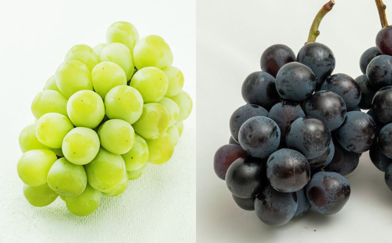 フルーツ 牛肉 定期便 2024年 先行予約 晴れの国 岡山 の 旬の フルーツ と お肉 の 定期便 8回コース 桃 もも 葡萄 ぶどう 梨 なし 肉 岡山県産 国産 果物 ギフト