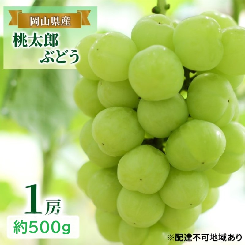 先行予約 晴れの国 岡山のフルーツ 定期便 3回コース 1回目岡山 白桃3玉 合計約600g／2回目桃太郎ぶどう 1房約500g／3回目シャインマスカット 1房約500g
