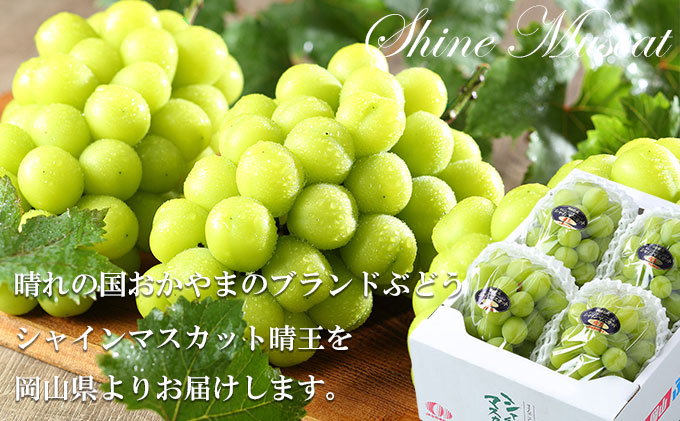 ぶどう 2026年 先行予約 シャイン マスカット 晴王 3房～6房 約1.5kg ブドウ 葡萄  岡山県産 国産 フルーツ 果物 ギフト シャインマスカット 美しい 大粒 種なし 弾力 高糖度 甘い