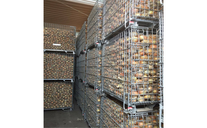 先行予約 玉ねぎ 約10kg（岡山県産） 晴れの国ファーム