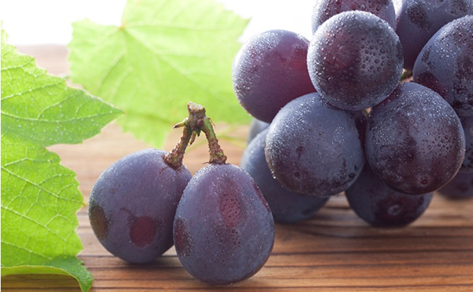 桃 ぶどう 2026年 先行予約 特選 岡山の旬の果物詰合せ-1 もも ブドウ 葡萄 晴王 岡山県産 国産 フルーツ 果物 ギフト おかやま夢白桃 大玉 3玉 シャインマスカット ピオーネ お取り寄せ 季節の果物