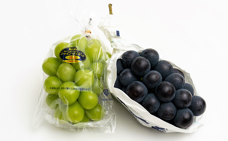 ぶどう 2026年 先行予約 果物 詰合せ ニュー ピオーネ 1房（1房470g以上）シャイン マスカット 晴王 1房（1房470g以上） 化粧箱入り 岡山県産 国産 フルーツ ギフト  果物類