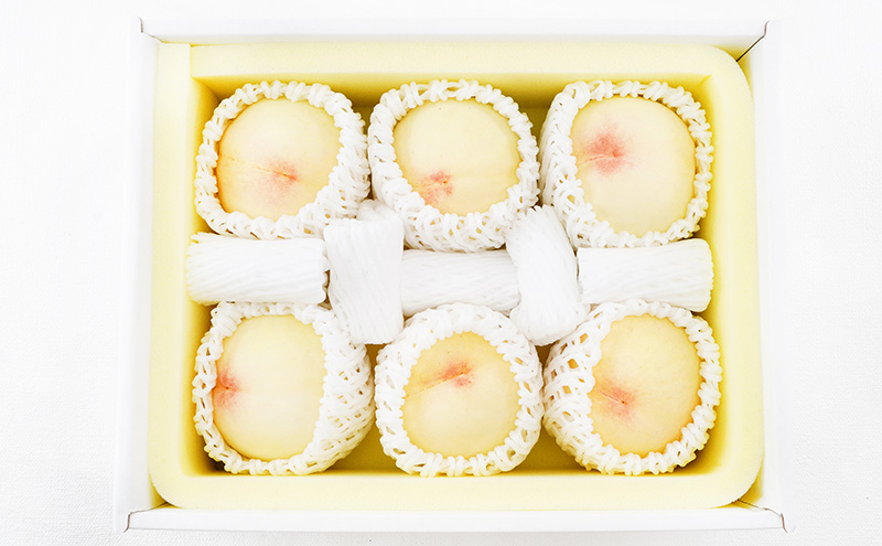 桃 2026年 先行予約 岡山 の 白桃 6玉（合計1.6kg以上）化粧箱入り もも モモ 岡山県産 国産 フルーツ 果物 ギフト