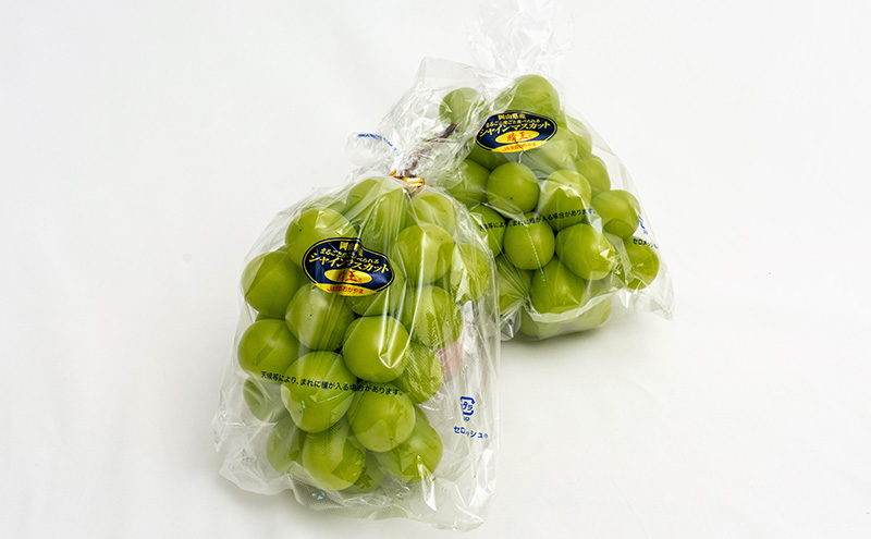 ぶどう 2026年 先行予約 シャイン マスカット 晴王 2房（合計約1.1kg）化粧箱入り マスカット ブドウ 葡萄  岡山県産 国産 フルーツ 果物 ギフト 果物類 大粒 1.1kg