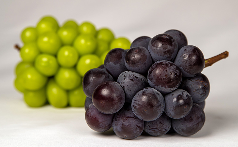 ぶどう 2026年 先行予約 果物 詰合せ ニュー ピオーネ 1房（1房470g以上）シャイン マスカット 晴王 1房（1房470g以上） 化粧箱入り 岡山県産 国産 フルーツ ギフト  果物類