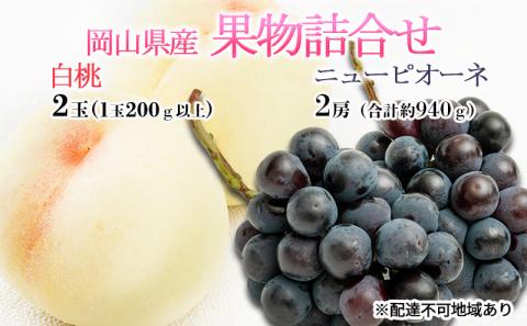 桃 ぶどう 2026年 先行予約 果物詰合せ 白桃 2玉（1玉200g以上） ニュー ピオーネ 2房（合計約940g）化粧箱入り 岡山県産 国産 フルーツ ギフト  もも セット